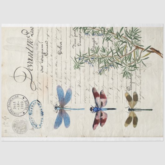 Papier Mousseline Papier de découpage de meubles Ephemera de libellu (Recto)