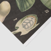 Papier Mousseline Papier de découpage de pois doux (Détail)