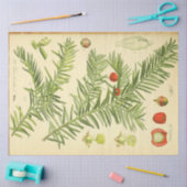 Papier Mousseline Papier de découpage en pin de Noël (Artisanat)