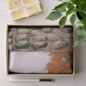 Papier Mousseline Papier de découpage, Enveloppement, - Élégance éph (Cadeau)