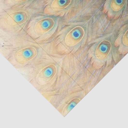 Papier Mousseline Papier de découpage Ephemera Peacock (Détail)