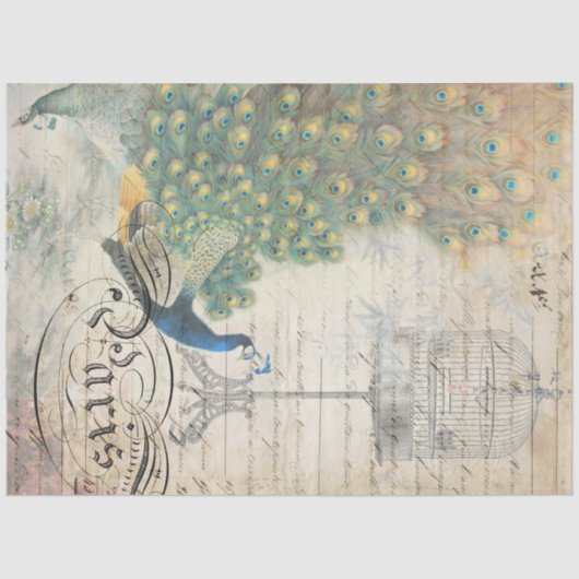 Papier Mousseline Papier de découpage Ephemera Peacock gauche (Recto)