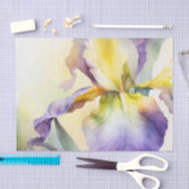 Papier Mousseline Papier de découpage IRIS (Artisanat)