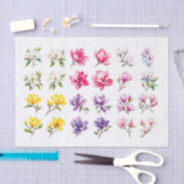 Papier Mousseline Papier de découpage Magnolia Assortiment (Artisanat)