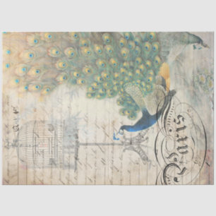 Papier Mousseline Papier de découpage Peacock Ephemera Droite