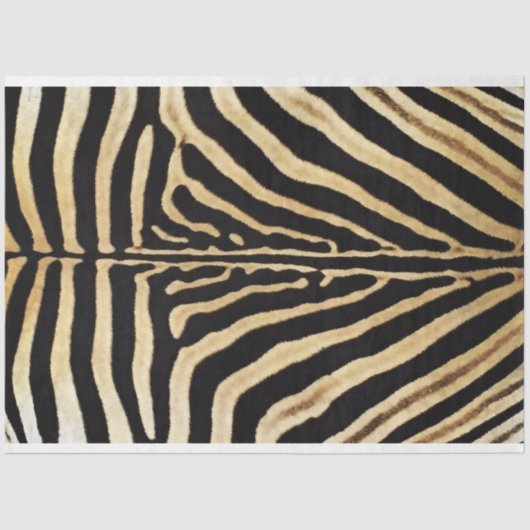 Papier Mousseline Papier de découpage pour meubles Zebra (Recto)