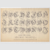 Papier Mousseline Papier de découpage Rollerball (Recto)