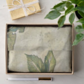 Papier Mousseline Papier de fond de découpage américain pour le séqu (Cadeau)