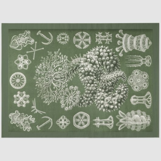 Papier Mousseline Papier de fond de découpage de la vie marine vinta (Recto)