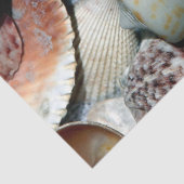 Papier Mousseline Papier de fond de découpage des coquillages océani (Détail)