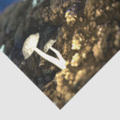 Papier Mousseline Papier de fond décolpage bleu papillon (Détail)