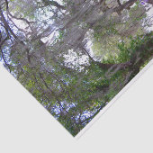 Papier Mousseline Papier de fond Magnolia Gardens Plantation River (Détail)