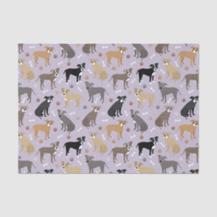 Papier Mousseline Papier de fond Pitbulle et Bones