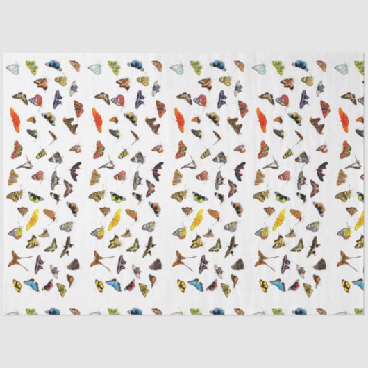 Papier Mousseline Papier de papier de découpage de la collection pap (Recto)