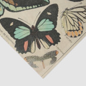 Papier Mousseline Papier de papier de découpage papillon (Détail)