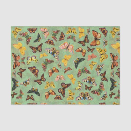 Papier Mousseline Papier de papier de papier de papillons (Recto)