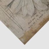 Papier Mousseline Papier de papier découpage à papier journal blanc (Détail)