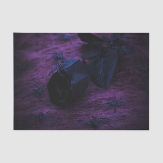 Papier Mousseline Papier de papier en papier noir Rose (Recto)