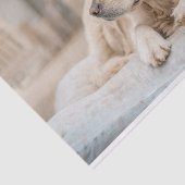 Papier Mousseline Papier de papier papier Retriever Or (Détail)