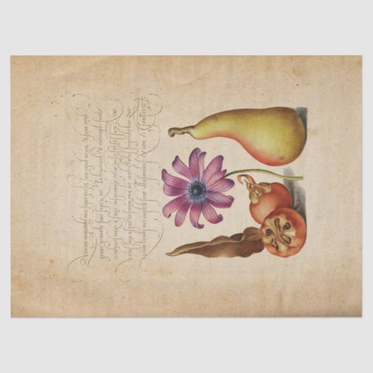 Papier Mousseline Papier de papier tissu de calligraphie manuscrite  (Recto)