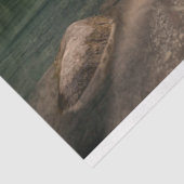 Papier Mousseline papier de tissu alpin (Détail)