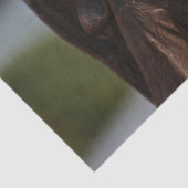 Papier Mousseline papier de tissu d'ange de bronze (Détail)