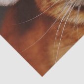 Papier Mousseline Papier de tissu de chat Noël (Détail)