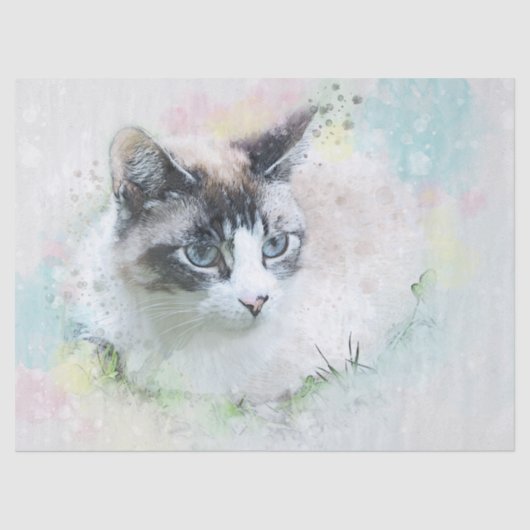 Papier Mousseline papier de tissu de chat rêve (Recto)