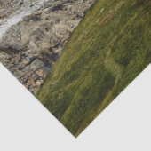 Papier Mousseline papier de tissu de la maison de chaussures (Détail)