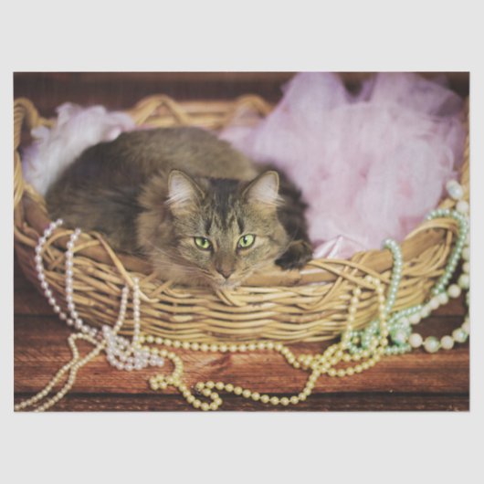 Papier Mousseline papier de tissu de la partie (Recto)