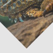 Papier Mousseline papier de tissu de lézard reptile (Détail)