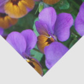 Papier Mousseline papier de tissu de pansement pourpre (Détail)