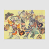 PAPIER MOUSSELINE PAPIER DE TISSU EN JAUNE (Recto)