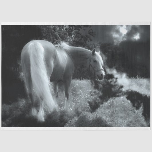 Papier Mousseline papier de tissu mystique de cheval de nuit (Recto)