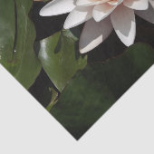 Papier Mousseline Papier de tissu Water Lily (Détail)