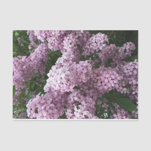 Papier Mousseline Papier de tissus à fleurs Lilac (Recto)