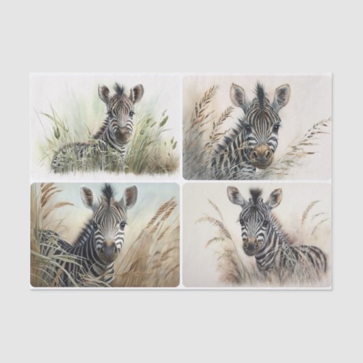 Papier Mousseline Papier de tissus Baby Zebra (Recto)