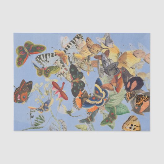 Papier Mousseline Papier de tissus BUTTERFER (Recto)