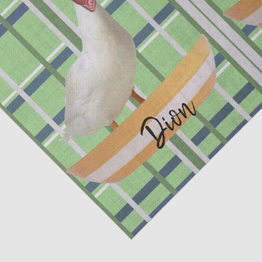 Papier Mousseline Papier de tissus Canard vert (Détail)