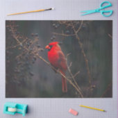 Papier Mousseline Papier de tissus cardinal (Artisanat)