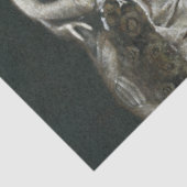 Papier Mousseline Papier de tissus de la dame Peacock de Victoria (Détail)