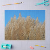 Papier Mousseline Papier de tissus de la pampa (Artisanat)