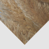 Papier Mousseline Papier de tissus de la pampa (Détail)