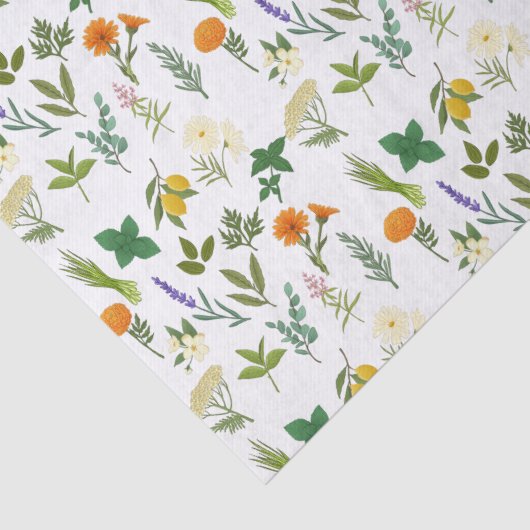 Papier Mousseline Papier de tissus d'herbe apothecaire (Détail)