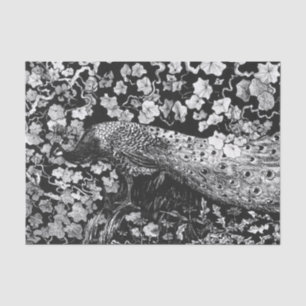 Papier Mousseline Papier de tissus NOIR ET BLANC PEACOCK