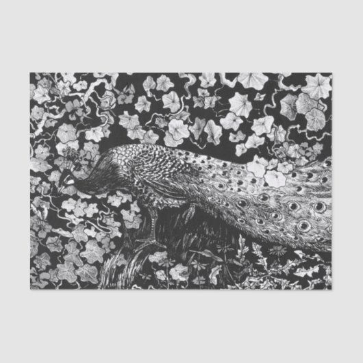 Papier Mousseline Papier de tissus NOIR ET BLANC PEACOCK (Recto)