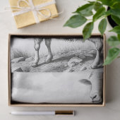 Papier Mousseline Papier de tissus pour moutons d'élevage (Cadeau)