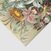 Papier Mousseline Papier de tissus pour Orchidaceae d'Ernst Haeckel (Détail)