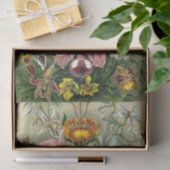 Papier Mousseline Papier de tissus pour Orchidaceae d'Ernst Haeckel (Cadeau)