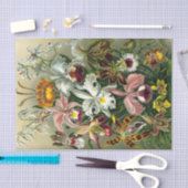 Papier Mousseline Papier de tissus pour Orchidaceae d'Ernst Haeckel (Artisanat)